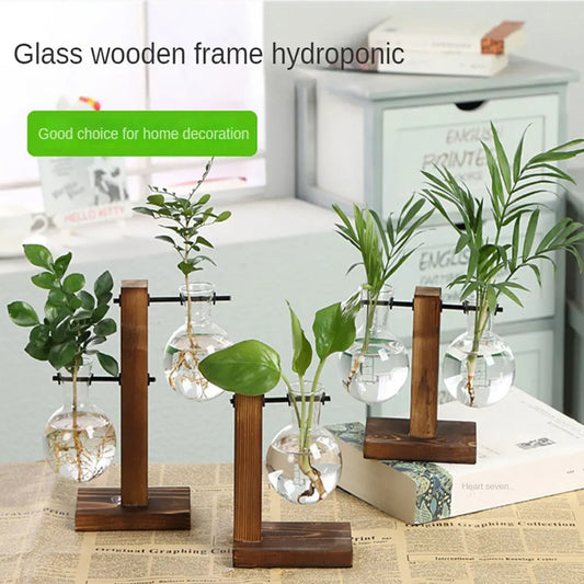 Terrarium Hydroponic Plant Vases